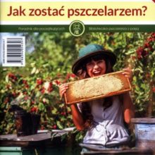Jak zostać pszczelarzem?
