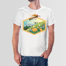 Koszulka męska t-shirt mniszek